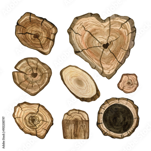 Rustic wood slices clipart set. Hand drawn watercolor clipart for wedding invitations