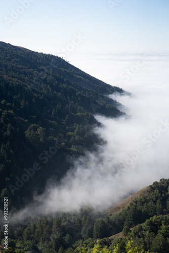 fog in the mountains