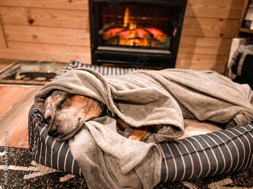 Dog with Blanket Over It Sleeping in Front of the Fireplace