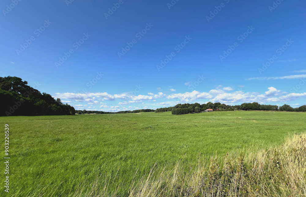 Fototapeta premium weite Landschaft im Süden Schwedens