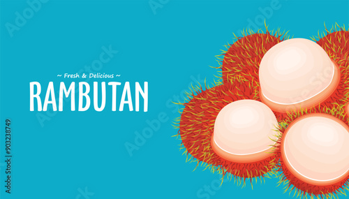 Vintage food poster design with Rambutan