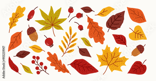 Collection of hand drawn autumn leaves and berries. Fall leaves, maple, acorns, berries, oak, rowan. Vector trendy flat illustration.