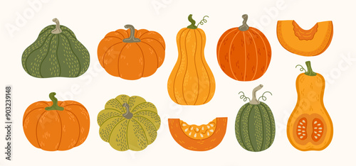 Set of hand drawn pumpkins, half with seeds and slices. Fall ripe vegetable. Autumn, Thhanksgiving and Halloween design elements. Vector flat illustration.