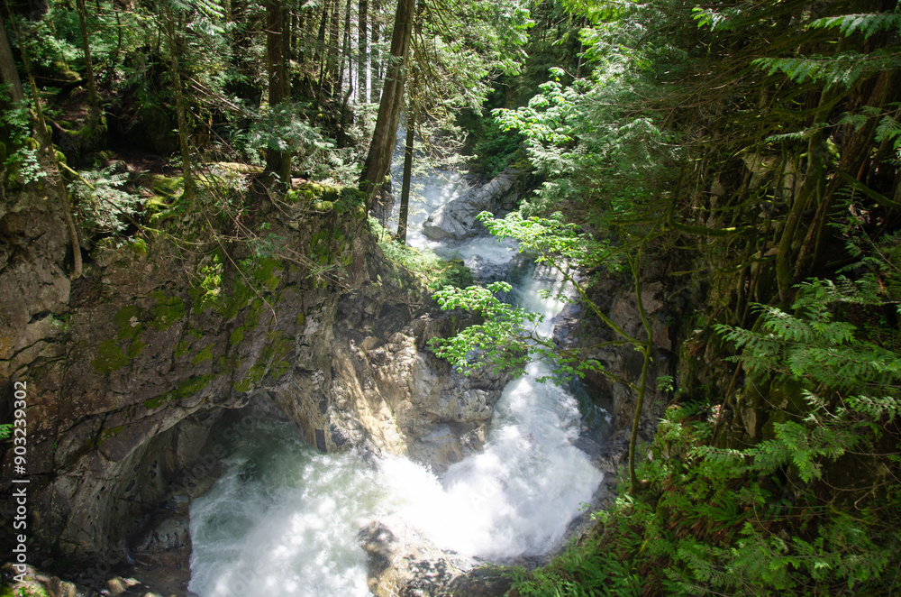 Fototapeta premium Downstream water from the Cascade Falls located Northeast of Mission, British Columbia, Canada