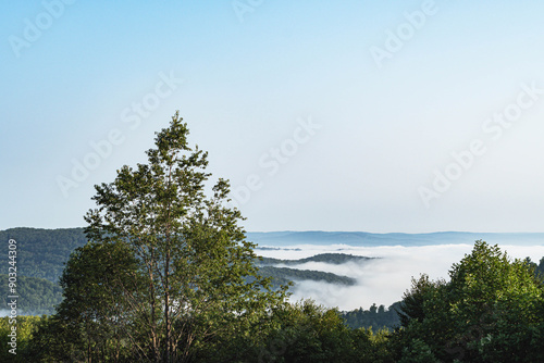 Stuning morning fog over mountain valley showing cloud covered mountain tops, summer background, natural authentic photo