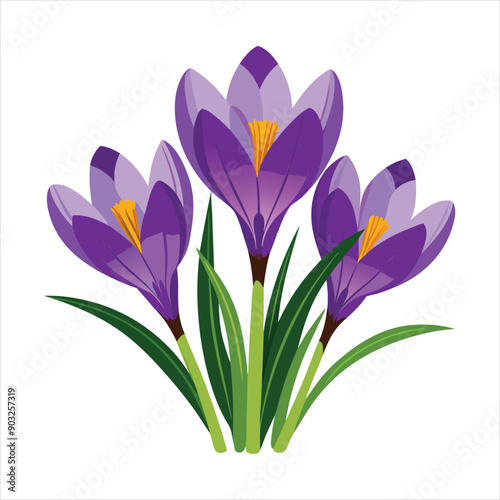 Crocus Flowers  vector art © Shajamal