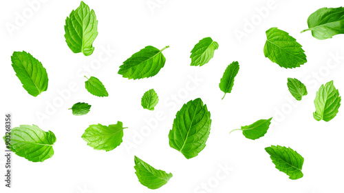Mint leaves flying transparent cutout element