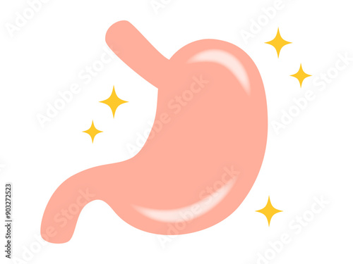 シンプルな胃腸のイラスト素材