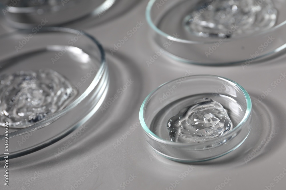 Petri dishes with samples on grey background, closeup Petri dishes with samples on grey background, closeup
