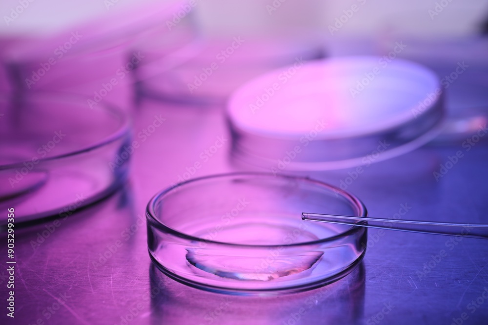 Dripping sample from pipette into petri dish neon lights at table, closeup Dripping sample from pipette into petri dish neon lights at table, closeup