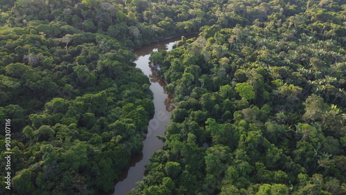 Canvastavla Vista Aérea Floresta Amazônica com rios no norte do Brasil