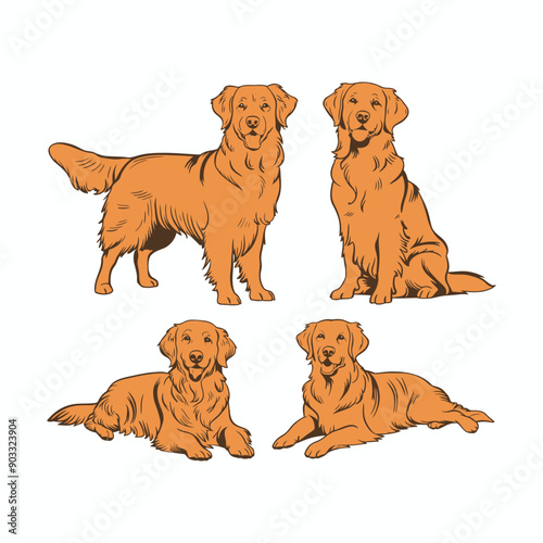 Golden Retriever dog silhouette set animals vector template