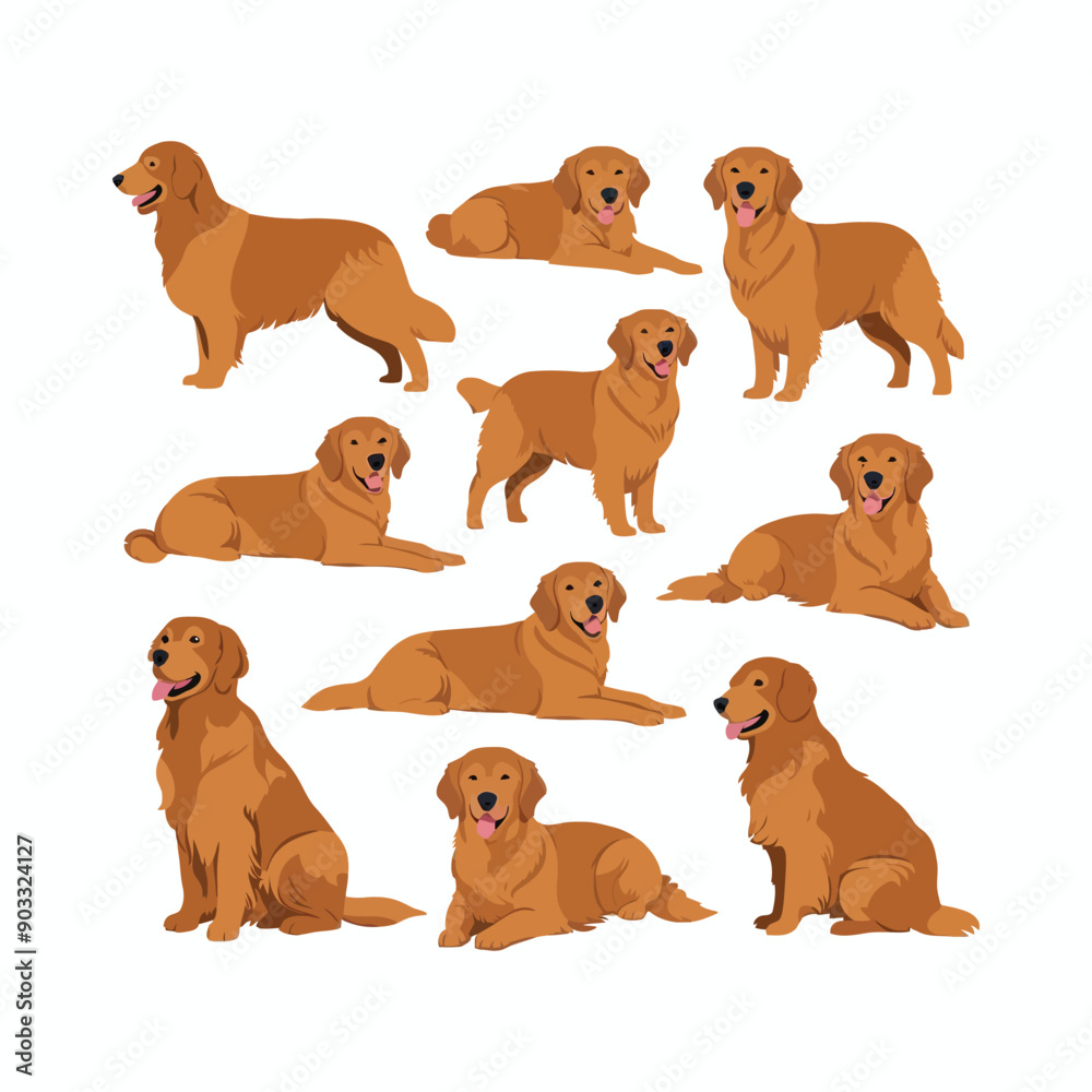 Obraz premium Golden Retriever dog silhouette set animals vector template