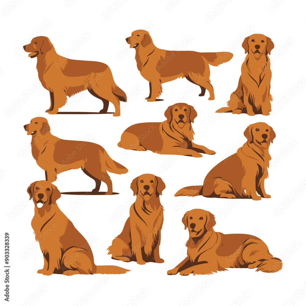 Obraz premium Golden Retriever dog silhouette set animals vector template