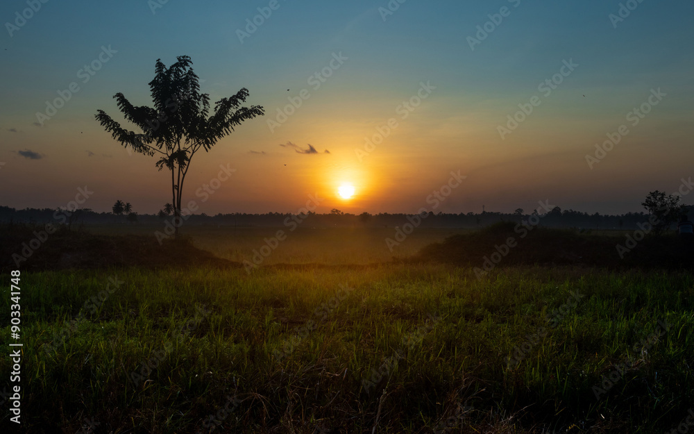 sunset in the field sunset in the field