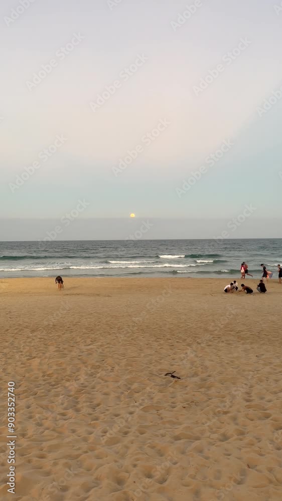 Moonrise. Full moon rising over a beach. Moonrise while people enjoy themselves at the beach. People on a beach while the moon rises. Da Nang, Vietnam. Moonrise. Full moon rising over a beach. Moonrise while people enjoy themselves at the beach. People on a beach while the moon rises. Da Nang, Vietnam.