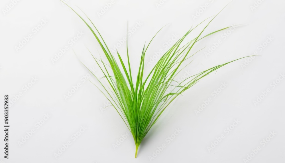 Fototapeta premium Vibrant green plant life fresh and full of life