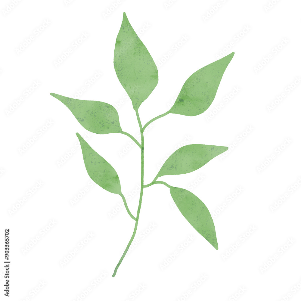 Fototapeta premium Green leaves watercolor isolated on white background