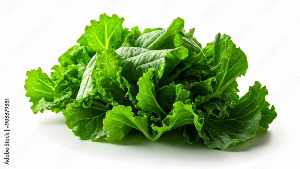 Fresh and vibrant green lettuce leaves Fresh and vibrant green lettuce leaves