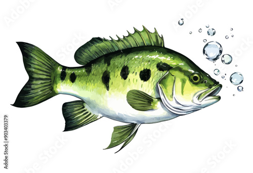 Lively Largemouth Bass with Bubbles