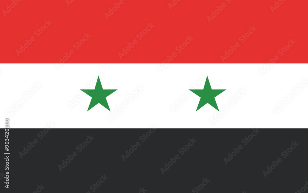 Country or National Flag Vector Country or National Flag Vector
