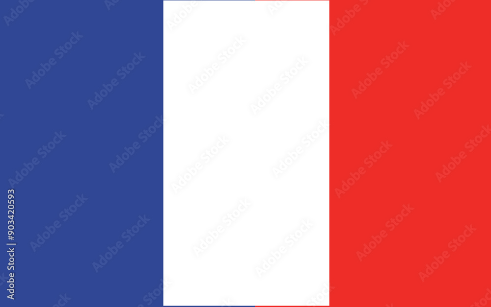 Country or National Flag Vector Country or National Flag Vector