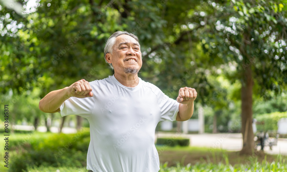 Elderly man exercising outdoors in green park, smiling and enjoying workout, demonstrating a positive and healthy lifestyle in his senior years, fitness, wellness and outdoor activities older adults Elderly man exercising outdoors in green park, smiling and enjoying workout, demonstrating a positive and healthy lifestyle in his senior years, fitness, wellness and outdoor activities older adults
