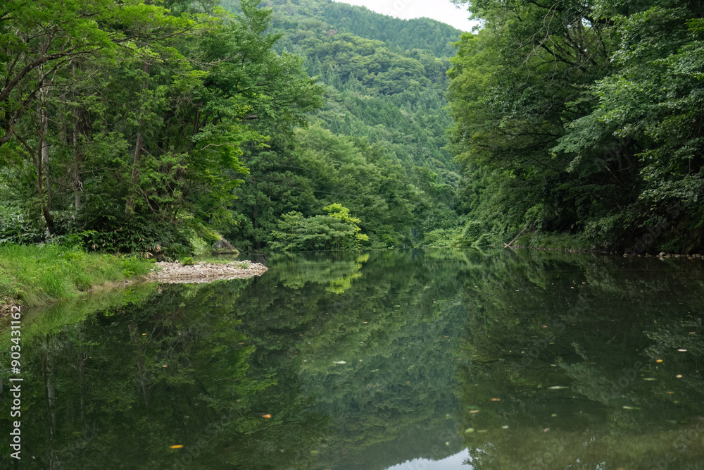 新緑の渓流 新緑の渓流