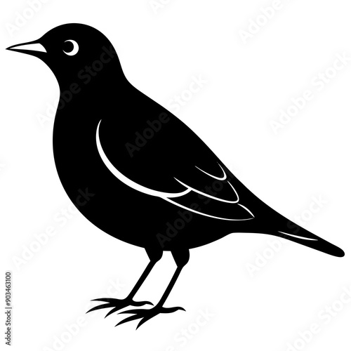 Silhouette of a lark bird vector illustration template
