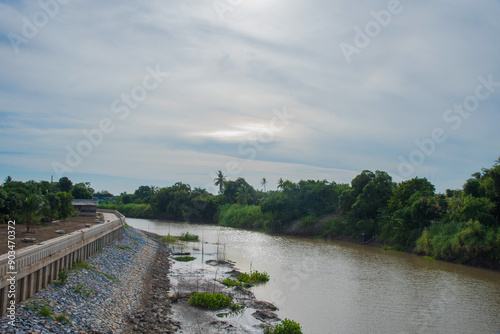 bridge over river in the forest