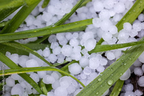 Hail on plans