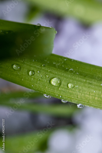 Hail on plans