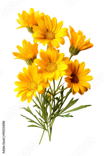 Beautiful yellow flower isolated on transparent background.