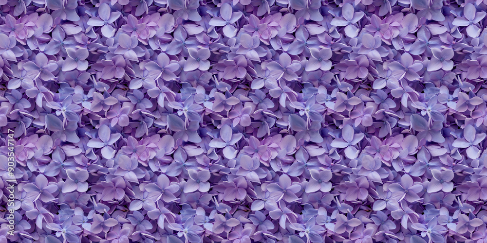 a densely packed pattern background of lavender petals completely covering the surface a densely packed pattern background of lavender petals completely covering the surface