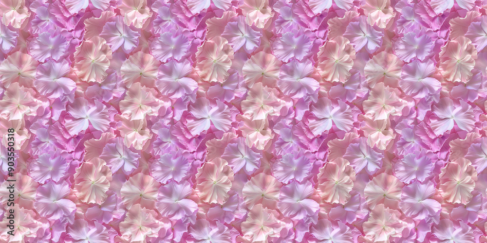 a densely packed seamless pattern of sweet pea petals completely covering the surface a densely packed seamless pattern of sweet pea petals completely covering the surface