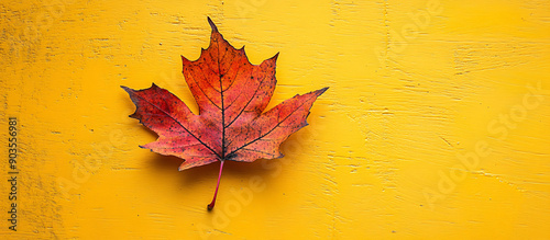 A top view of a single autumn maple leaf on a textured bright yellow background, creating a visually captivating copy space. The image is suitable for seasonal promotions,...