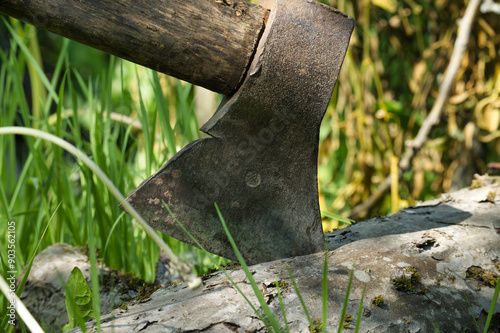 Close-up of an axe embedded in wood surrounded by green grass