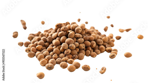 Roasted soybeans on transparent background