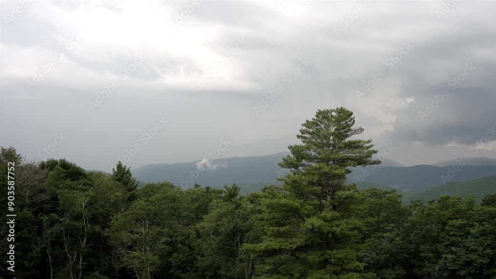 Single-point panoramic shot left to right, capturing a cloudy sky over forested mountainous area. Pine trees dominate verdant landscape, creating serene wilderness scene beneath overcast conditions. Single-point panoramic shot left to right, capturing a cloudy sky over forested mountainous area. Pine trees dominate verdant landscape, creating serene wilderness scene beneath overcast conditions.