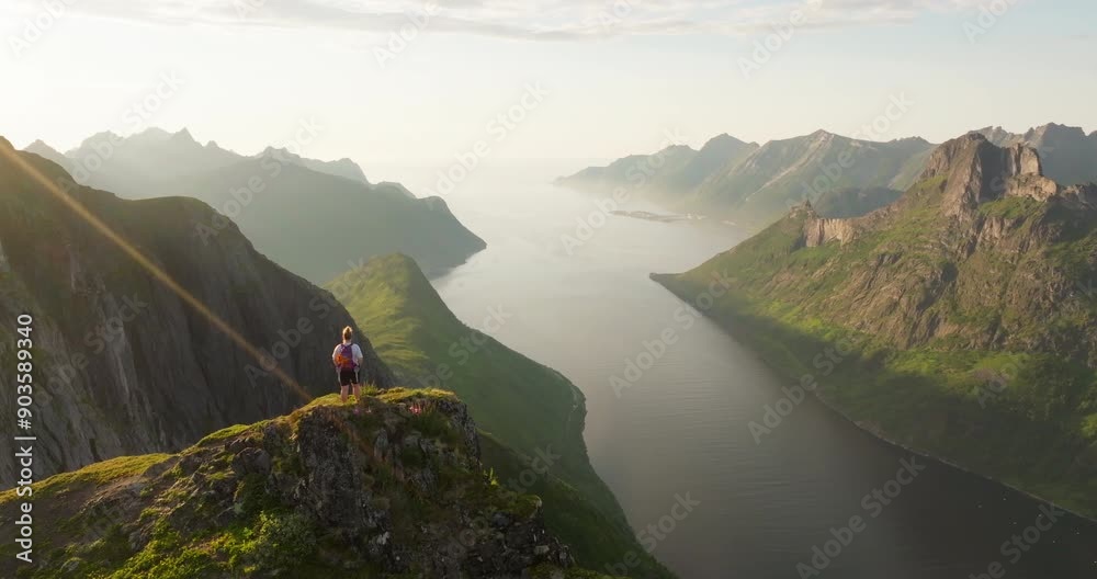 Courageous woman on Senja mountain peak overlook fjord in sunset; drone reveal