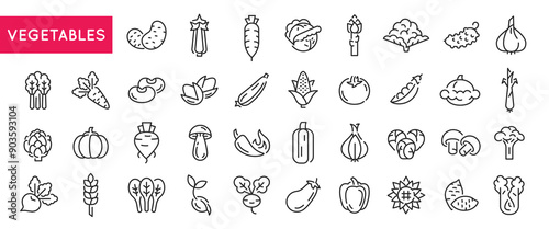 Vegetables icons. Large set of vegetables trendy minimal icons. Potato, Carrot, Tomato, Broccoli, Garlic icon. Design signs for web page, mobile app, packaging design. Vector illustration.
