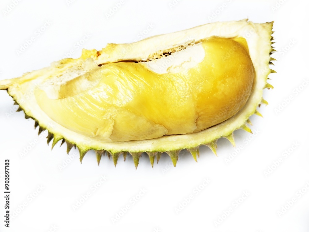 Durian on white background 