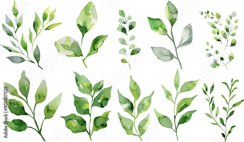 Set of green watercolor leaves on isolated background