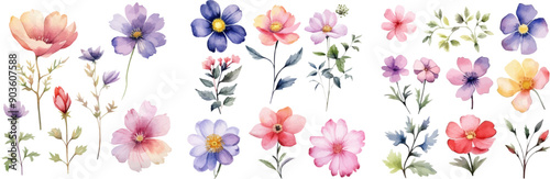 Watercolor floral package collection. Use by fabric, fashion, wedding invitation, template, poster, romance, greeting, spring, bouquet, pattern, decoration and textile.	