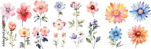 Watercolor floral package collection. Use by fabric, fashion, wedding invitation, template, poster, romance, greeting, spring, bouquet, pattern, decoration and textile.	