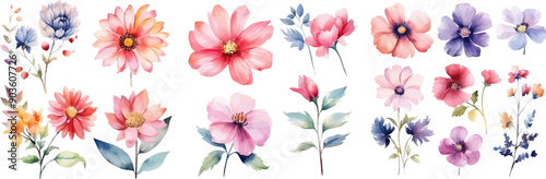 Watercolor floral package collection. Use by fabric, fashion, wedding invitation, template, poster, romance, greeting, spring, bouquet, pattern, decoration and textile.	