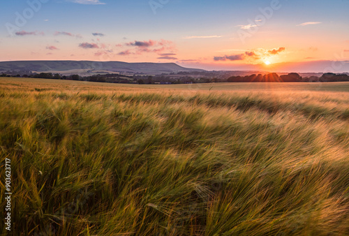 July sunset over Firle beacon and fields of wheat from Wilmington on the south downs east Sussex south east England UK photo