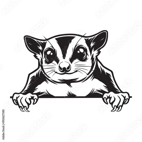 Sugar Glider Silhouette, Petaurus Breviceps Clipart,  Peeking sugar glider illustration