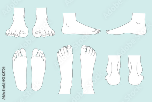 Human foot, Human feet various views on white background