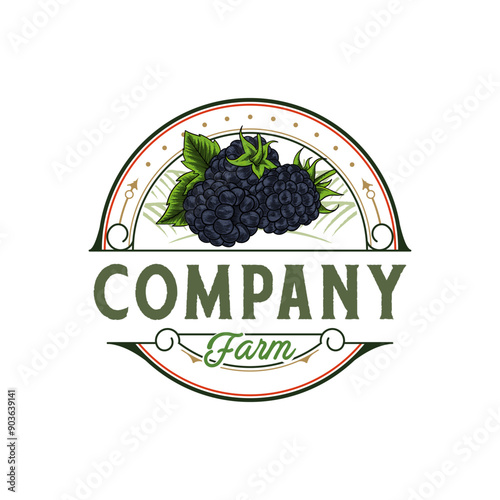 blackberry illustration logo in vintage style